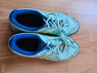 Feldjockeyschuhe Asics blau Gr 39 Hannover - Ricklingen Vorschau