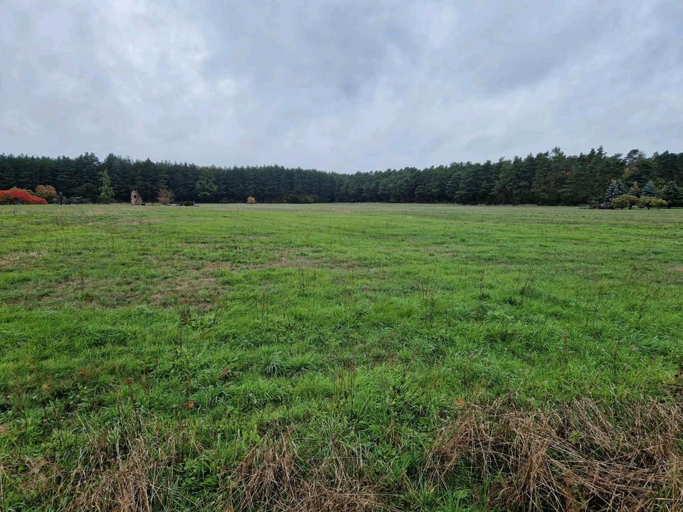 Bauland in Pechhütte (03238) Ortsteil von Finsterwalde in Brandenburg