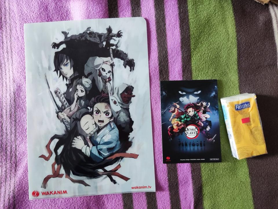 Demon Slayer Kimetsu no Yaiba Clearfile Postkarte Anime Manga in Hamburg