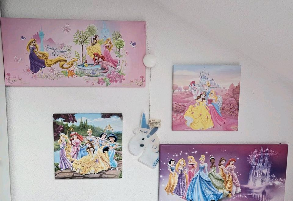 Disney Prinzessin Leinwand in Neuhofen