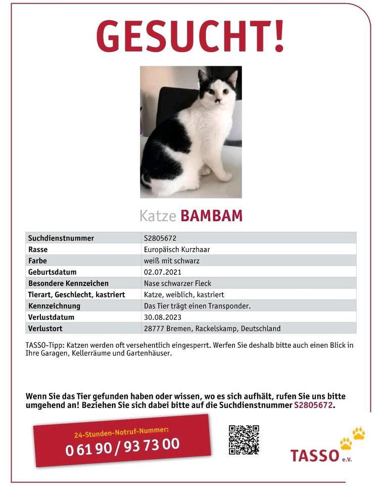 Katze Bambam vermisst in Farge in Bremen