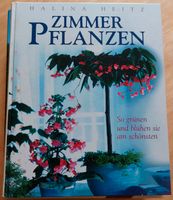 "Zimmerpflanzen " Buch Sachsen-Anhalt - Querfurt Vorschau