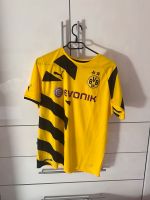 Borussia Dortmund Trikot Gr. 176/S wie neu BVB 14/15 Baden-Württemberg - Böblingen Vorschau