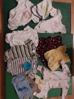 Kleiderpaket Baby Größe 50/56 Sommer Niedersachsen - Ovelgönne Vorschau
