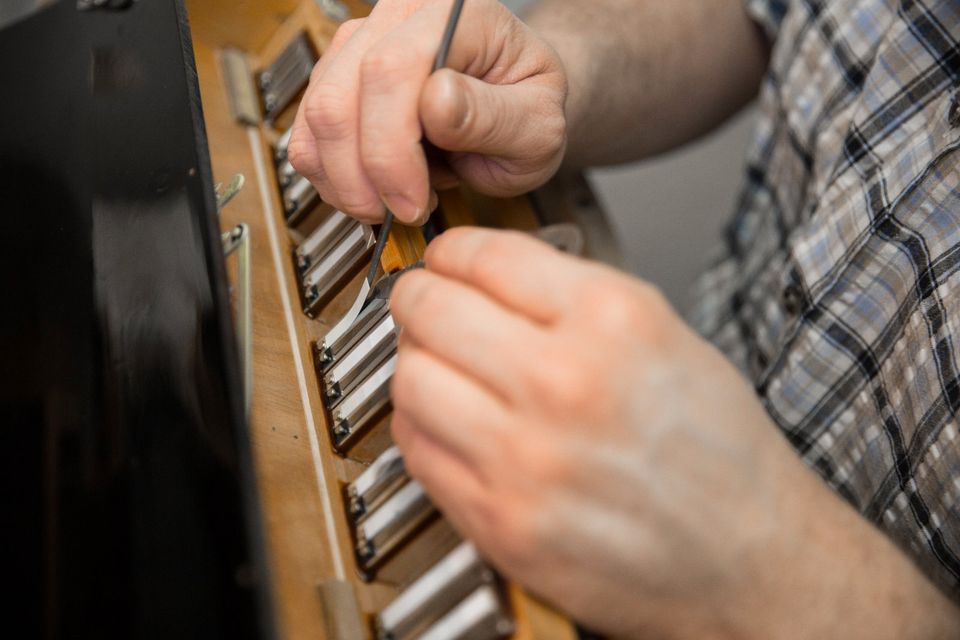 Akkordeon Werkstatt Reparatur Fachmann in Redwitz a d Rodach