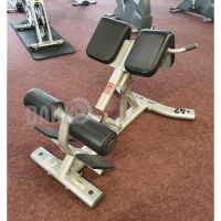 Life Fitness Hyperextension / Rückenstrecker, Rahmen Silber Schleswig-Holstein - Ulsnis Vorschau