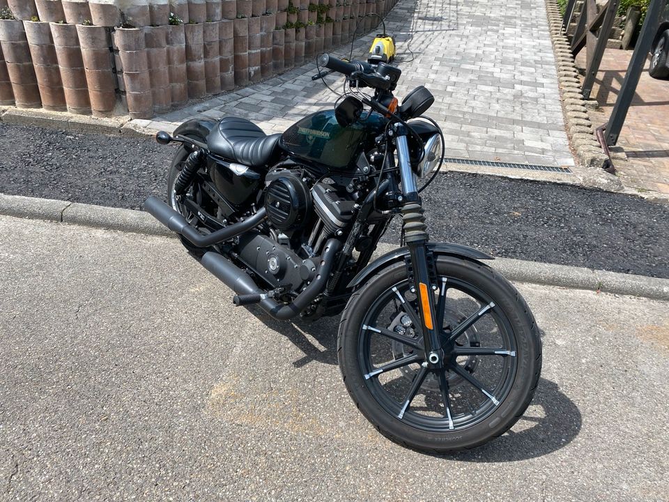 Harley-Davidson Iron 883 / Chameleon Flake / Scheckheft in Ludwigsburg