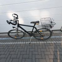 Herrenrad,  Fahrrad mit Korb Nordrhein-Westfalen - Hüllhorst Vorschau