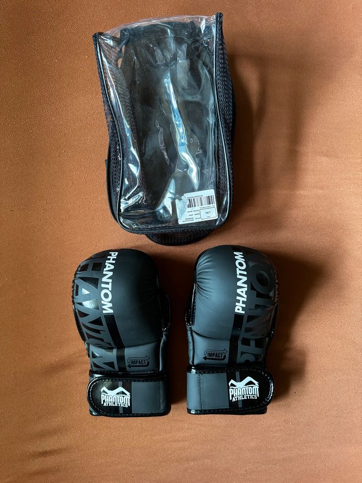MMA Sparring Handschuhe APEX - L/XL *24H* in Springe
