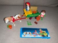 Playmobil Ponywagen 3713 Rheinland-Pfalz - Roßbach (Wied) Vorschau