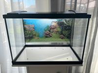 Aquarium 84 l mit Unterschrank beide von Eheim Bayern - Baldham Vorschau