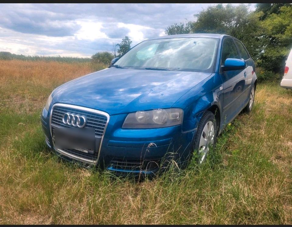 Ich suche !! Audi a3 8p Jeder staat, ganz Deutschland!! in Dortmund