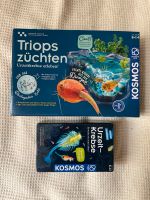 Kosmos Triops züchten Urzeitkrebse Experiment Kinder Berlin - Charlottenburg Vorschau