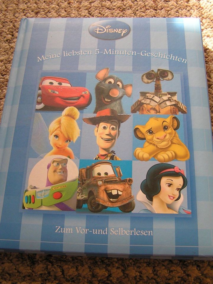 Großes Kinderbuch Meine liebsten 5-Minuten-Geschichten Disney in Striegistal