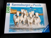 Pferde Puzzle Mecklenburg-Vorpommern - Gnoien Vorschau