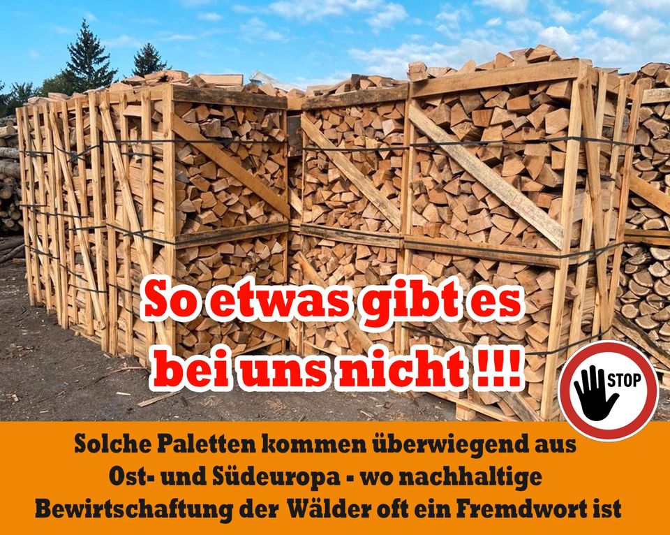 „ab 4 m³ bis 35 m³ - 40 km um Groitzsch  Pegau , Kaminholz, Brennholz, Feuerholz, Holzvergaser, Kamin, Holz, Feuer, Brenn in Pegau