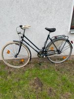 Holladfahrrad 28 Zoll Hannover - Ahlem-Badenstedt-Davenstedt Vorschau