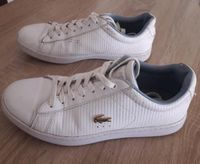 Gebrauchte Schuhe von Lacoste Gr 38 Schleswig-Holstein - Flensburg Vorschau