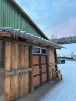 Stutenherde und Wallachherde Bayern - Bad Staffelstein Vorschau