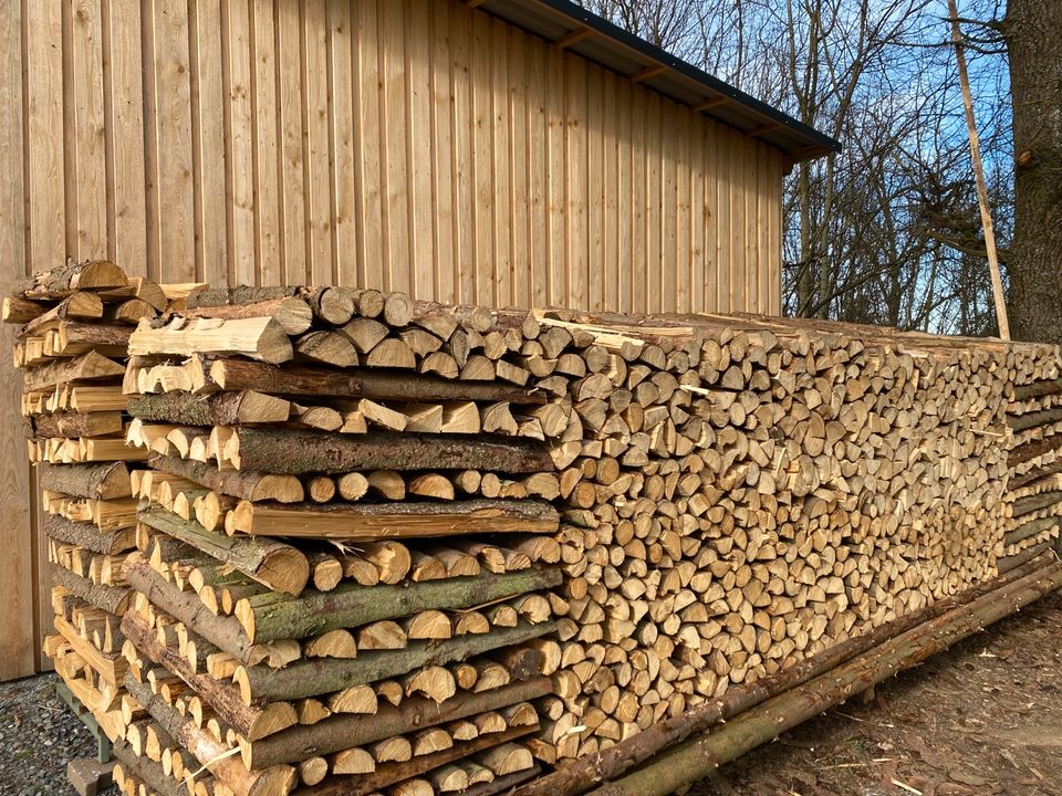 Brennholz Fichte 1m gespalten, abgelagert, Preis pro Ster in Leuchtenberg