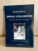 Buch "Einfall von Kindheit" NEUwertig Leipzig - Leipzig, Zentrum-Ost Vorschau