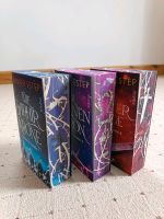 Gargoyle Queen Trilogie von Jennifer Estep Bücherbüchse Dresden - Leuben Vorschau