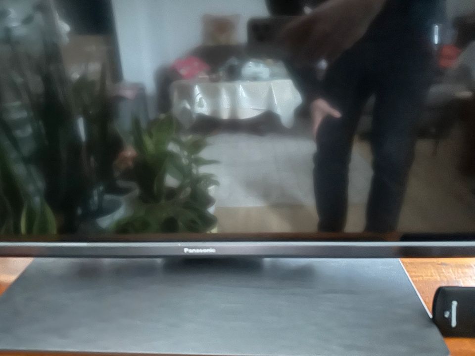 Smart TV Panasonic 55 Zoll in Barsbüttel