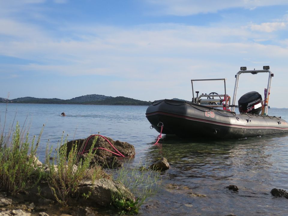 Bombard C5 // Schlauchboot // Mercury 50PS Außenborder in Zapfendorf