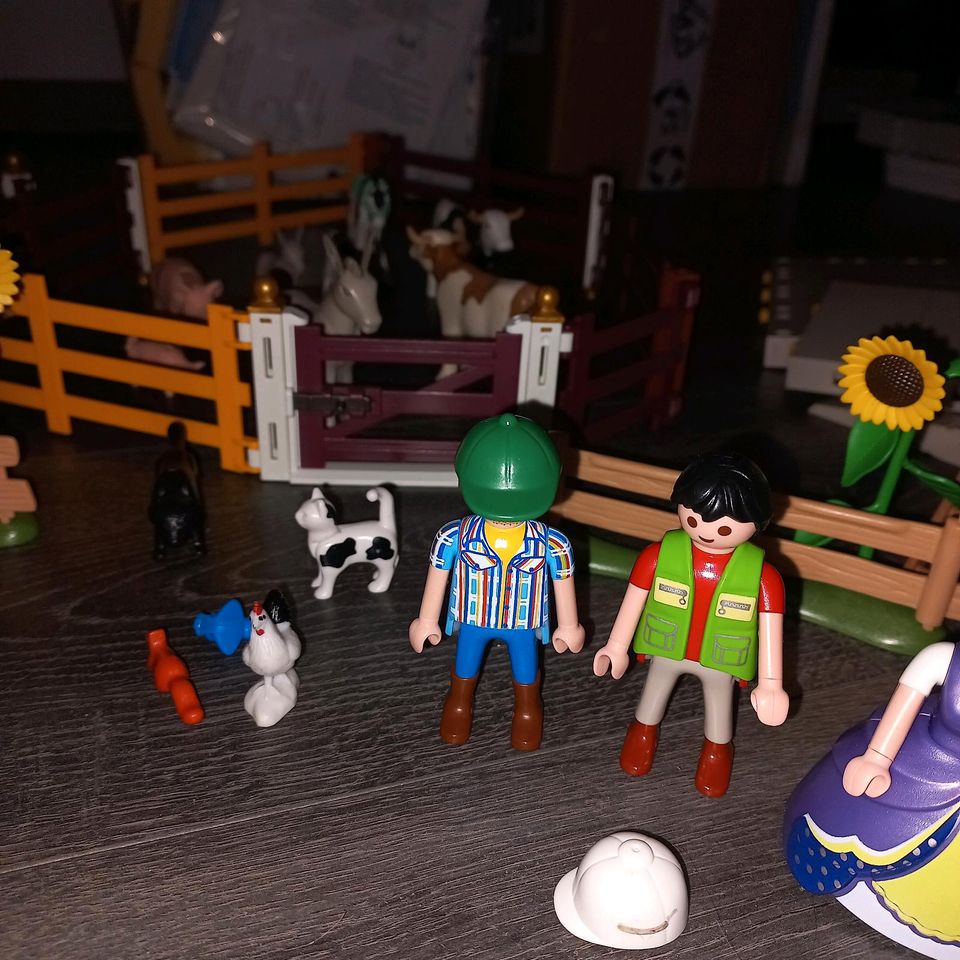 Playmobil Bauernhof / Country in Weitefeld