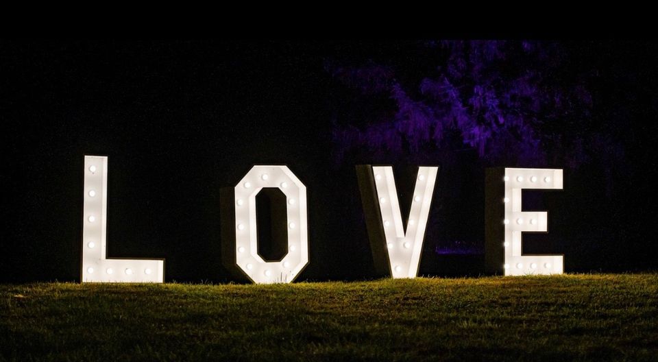 XXL LOVE Schriftzug Buchstaben Hochzeit Trauung Deko in Donauwörth