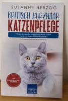 Britisch Kurzhaar Katzenpflege Ratgeber Baden-Württemberg - Korntal-Münchingen Vorschau