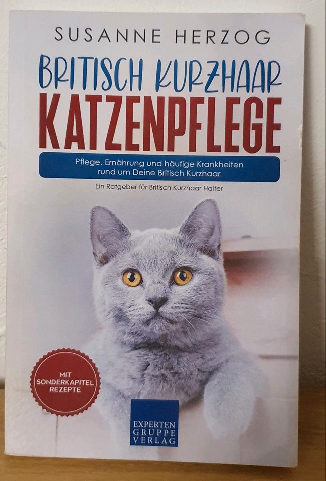 Britisch Kurzhaar Katzenpflege Ratgeber in Korntal-Münchingen