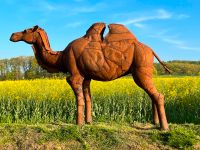 Kamel aus Recycling Metall, Metallkunst, Kunst, Metallskulptur Nordrhein-Westfalen - Witten Vorschau
