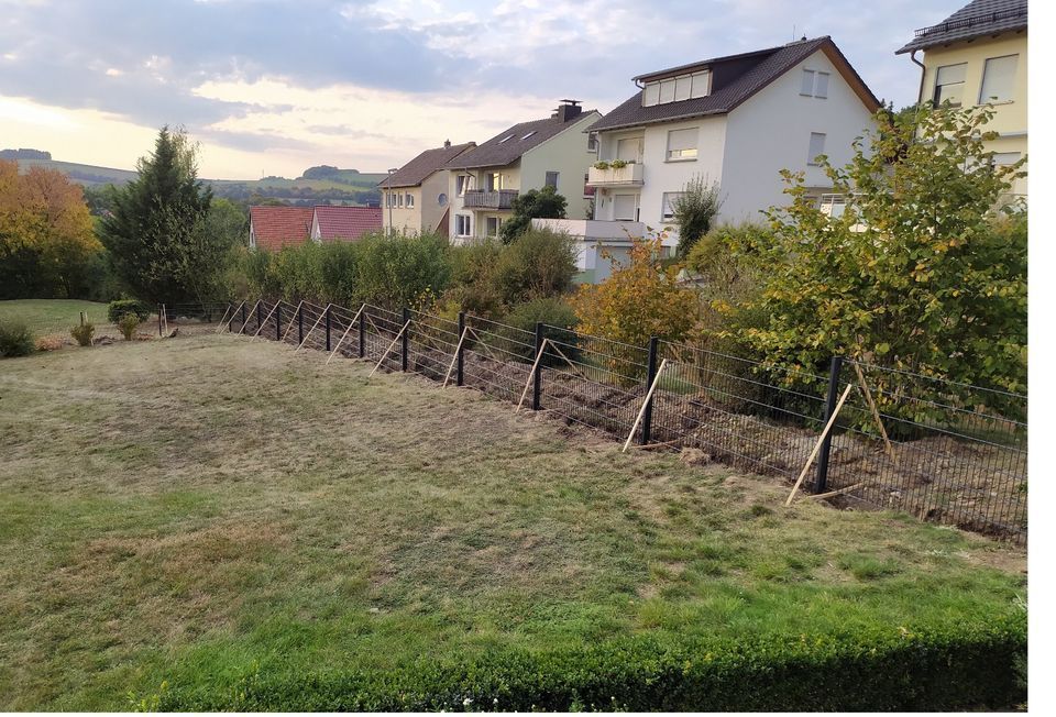 Höhe1,23 Stärke 656 Länge 55meter Doppelstabmattenzaun RAL7016 in Schönefeld