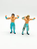 WWF/WWE Jakks Mattel Wrestling Figuren Tag Team The Hooligans 05' Baden-Württemberg - Filderstadt Vorschau