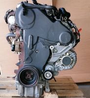 Motor Komplett VW Skoda Seat CAY CAYD 1,6 TDI 79.000km GARANTIE Brandenburg - Küstriner Vorland Vorschau