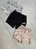 Shorts ( H&M, Zara, Puma Nordrhein-Westfalen - Hörstel Vorschau