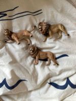 Schleich 3 Löwen Männchen Nordrhein-Westfalen - Mönchengladbach Vorschau