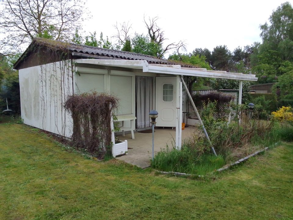 Garten abzugeben in Berlin