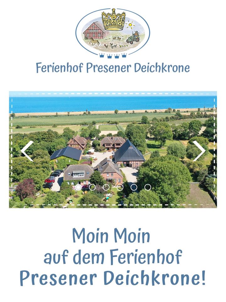 Urlaub Bauernhof Fehmarn Spät Sommer Kinder Strand Meer in Fehmarn