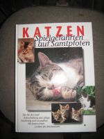 Katzen Spielgefährten auf Samtpfoten  5 Euro Nordrhein-Westfalen - Espelkamp Vorschau