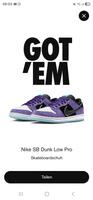 Nike SB Dunk Low x Hayley Wilson 44,5 München - Schwanthalerhöhe Vorschau