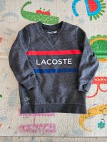 Lacoste Jungen Pullover Pulli Sweatshirt Grau Gr. 104 4 Jahre Bayern - Ensdorf Vorschau