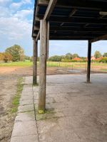 Offenstall Resse sucht Allergiker Rehepferd Heulagefütterung Niedersachsen - Wedemark Vorschau