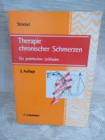 Hans W Striebel, Therapie chronischer Schmerzen Baden-Württemberg - Sinsheim Vorschau