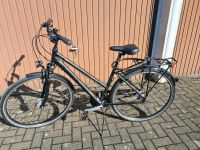 Damen Fahrrad Nordrhein-Westfalen - Soest Vorschau