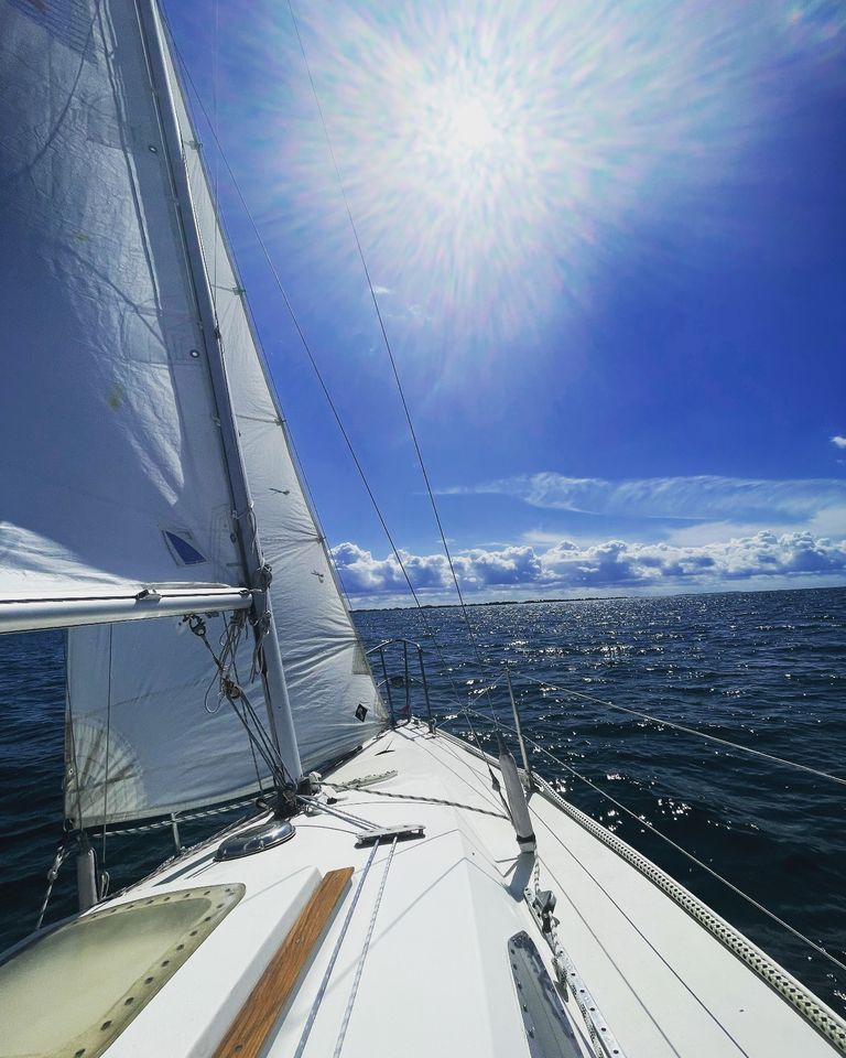 Segelboot mit opt. Trailer segelfertig 23 Fuss in Preetz