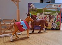 Schleich 42458 Horse Club Hannahs Gastpferde mit Hündin Ruby Baden-Württemberg - Karlsruhe Vorschau