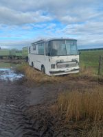 Wohnbus S100 Setra Sachsen-Anhalt - Bad Schmiedeberg Vorschau