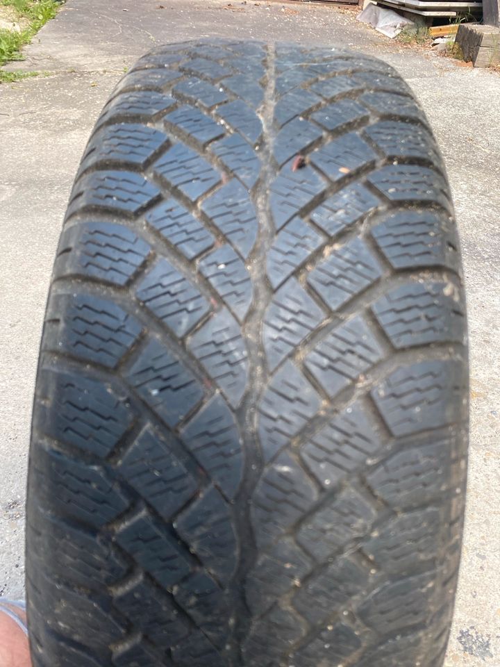 Winterreife Semperit 195/60R15 in Harburg (Schwaben)